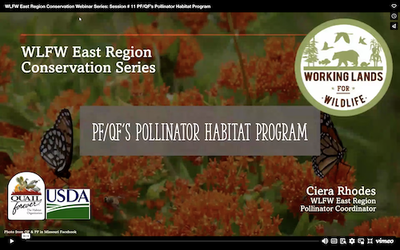 WLFW East Region Conservation Webinar Series: Session # 11 PF/QF’s Pollinator Habitat Program