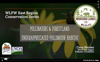 WLFW Pollinator Conservation Webinar Series: Session # 9 Pollinators & Forestland-Underappreciated  Pollinator Habitat