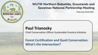 Forest Certification and Quail Conservation: What’s the Intersection?: Paul Trianosky