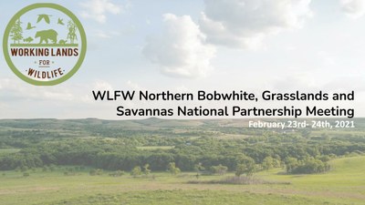 Working Lands for Wildlife (WLFW):  Northern bobwhite, Grasslands and Savannas National Partnership Meeting, Feb 23rd-24th 2021
