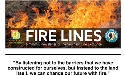 Fire Lines Volume 12 Issue 4