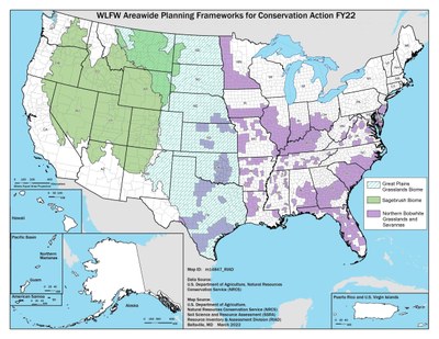 Areawide Planning Frameworks for Conservation Action-FY22