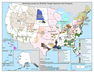 WLFW Target Species and Projects Map