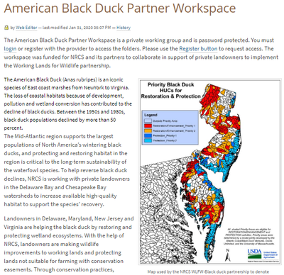 American Black Duck Partner Workspace