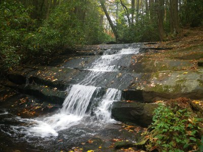 Appalachian LCC Funds Four Landscape-level Projects