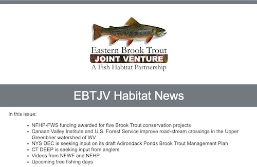 EBTJV Newletter June 2025