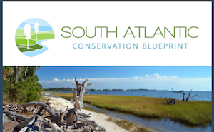 News from the South Atlantic Blueprint: June 2021 Newsletter