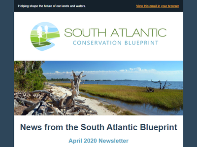 South Atlantic Blueprint April 2020 Newsletter