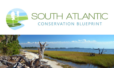 South Atlantic Conservation Blueprint Newsletter July 2022