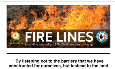 Fire Lines Newsletter Volume 12 Issue 4
