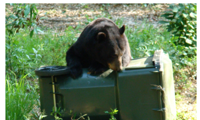 Wildlife Management Institute Outdoor News Bulletin July 2022