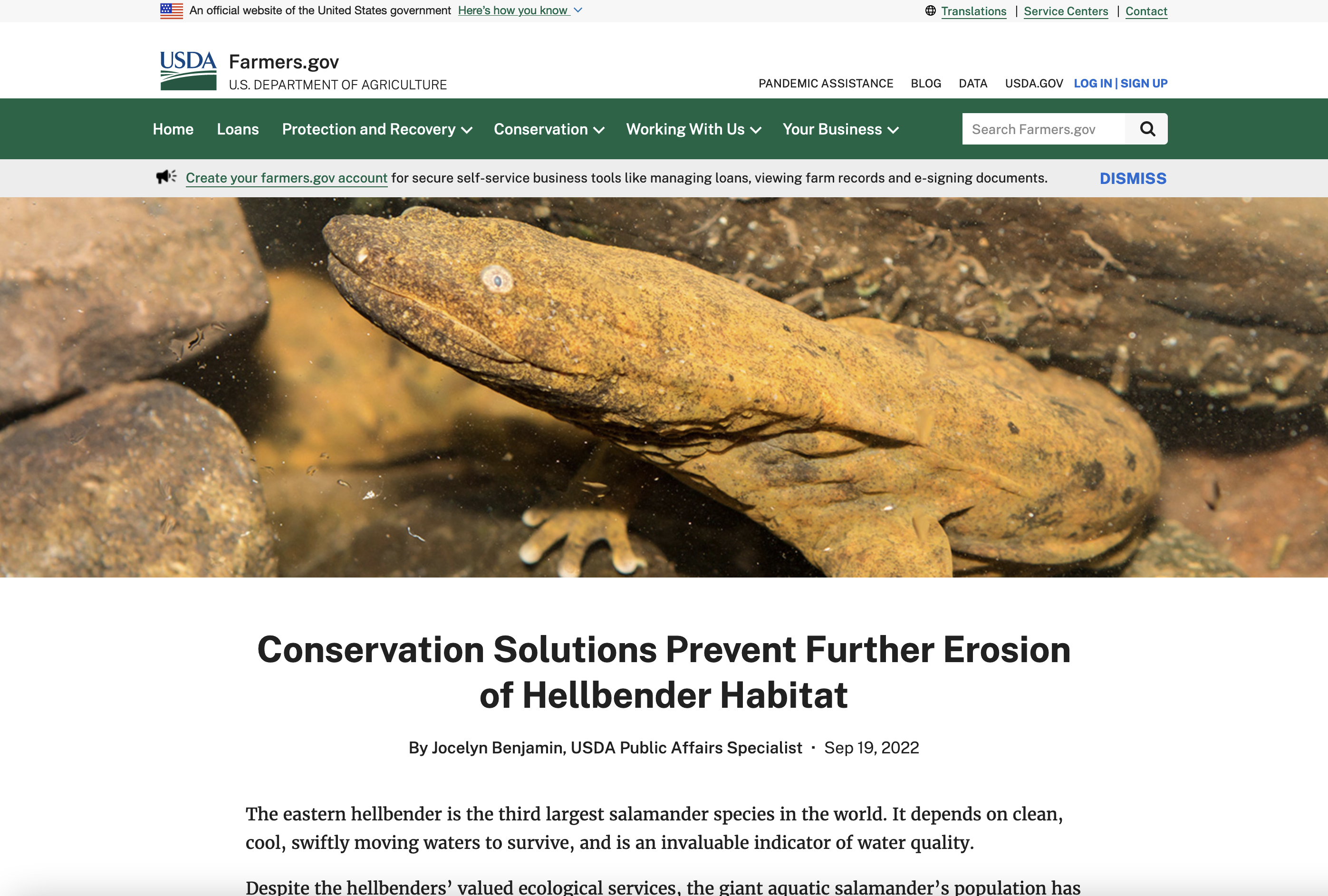 Conservation Solutions Prevent Further Erosion of Hellbender Habitat