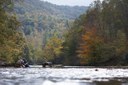 Conserving imperiled species in the Upper Tennessee River Basin