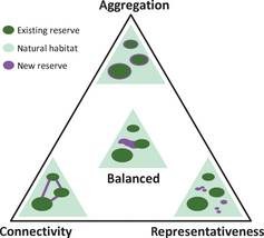 Designing reserves for biodiversity