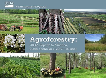First-ever Report on USDA Efforts to Expand Agroforestry Practices