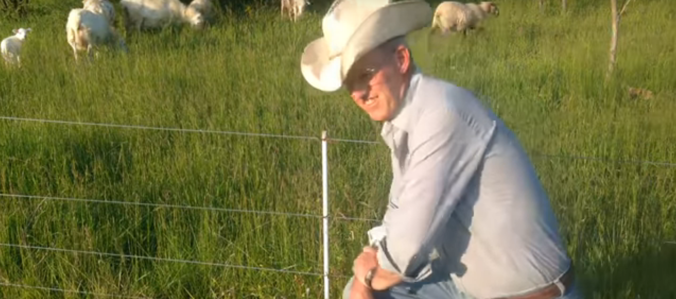 Greg Judy Talks Electric Fencing and Gates for Sheep and Cattle