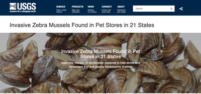 Invasive Zebra Mussels Found in Pet Stores in 21 States