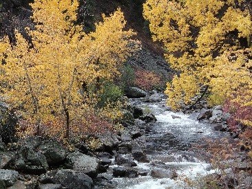 Mountain Streams Offer Climate Refuge