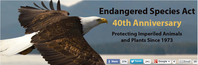 New Website Highlights the 40th Anniversary of Endangered Species Act