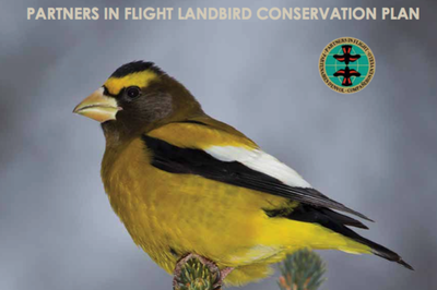 Partners in Flight 2016 Landbird Conservation Plan Released