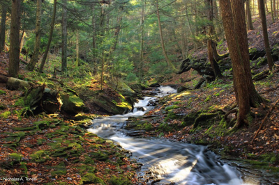 Partners launch ‘Nature’s Network’ to guide conservation from Maine to Virginia