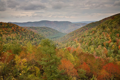 Partnership Celebrates Successful Conservation of Rugged West Virginia Forest