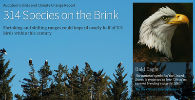 The Audubon Climate Change Report at a Glance