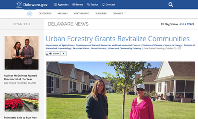Urban Forestry Grants Revitalize Communities