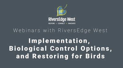 Webinar: Restoration on Private Lands Pt. 2 – Implementation, Biological Control Options, and Restoring for Birds