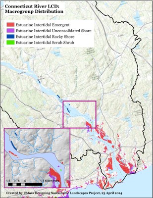 Estuarine Intertidal