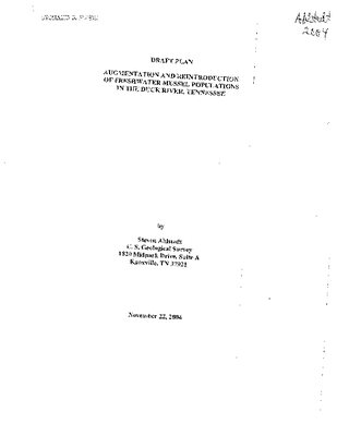 2004.pdf