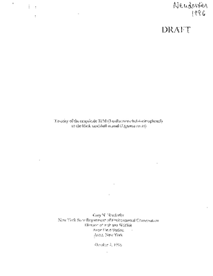 Neuderfer 1996.pdf