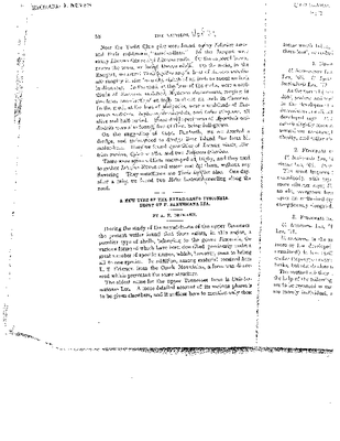 Ortmann 1917.pdf