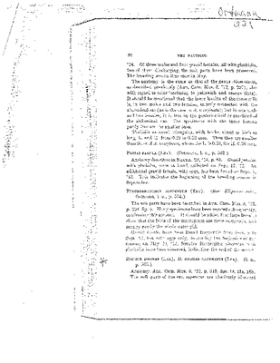 Ortmann 1921 The Nautilus.pdf
