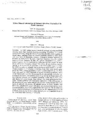 Schloesser et al 1996.pdf