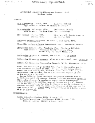 Stansbery 1976 Actinonaias ligamentina.pdf