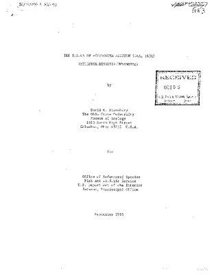 Stansbery 1983 Pleurobema decisum.pdf