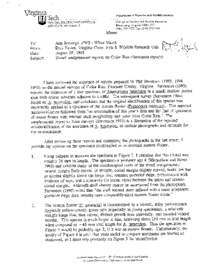 Stevenson 1995 letter.pdf