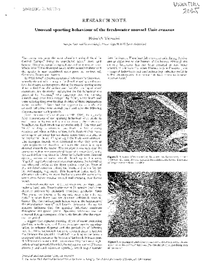 Vicentini 2005.pdf