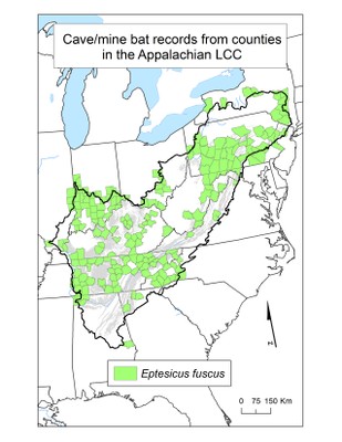 County Occurrence Map for Big Brown Bat