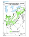 Distribution map of counties with a cave/mine occurrence for big brown bat (Eptesicus fuscus) within the Appalachian LCC region. 