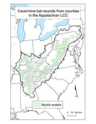 County Occurrence Map for Indiana Bat