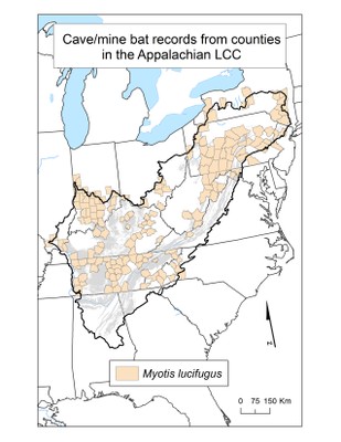 County Occurrence Map for Little Brown Bat