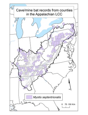 County Occurrence Map for Northern Long-eared Bat