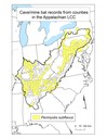 Distribution map of counties with a cave/mine occurrence for Tri-colored bat (Perimyotis subflavus) within the Appalachian LCC region. 