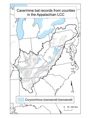 County Occurrence Map for Virginia Big-eared Bat