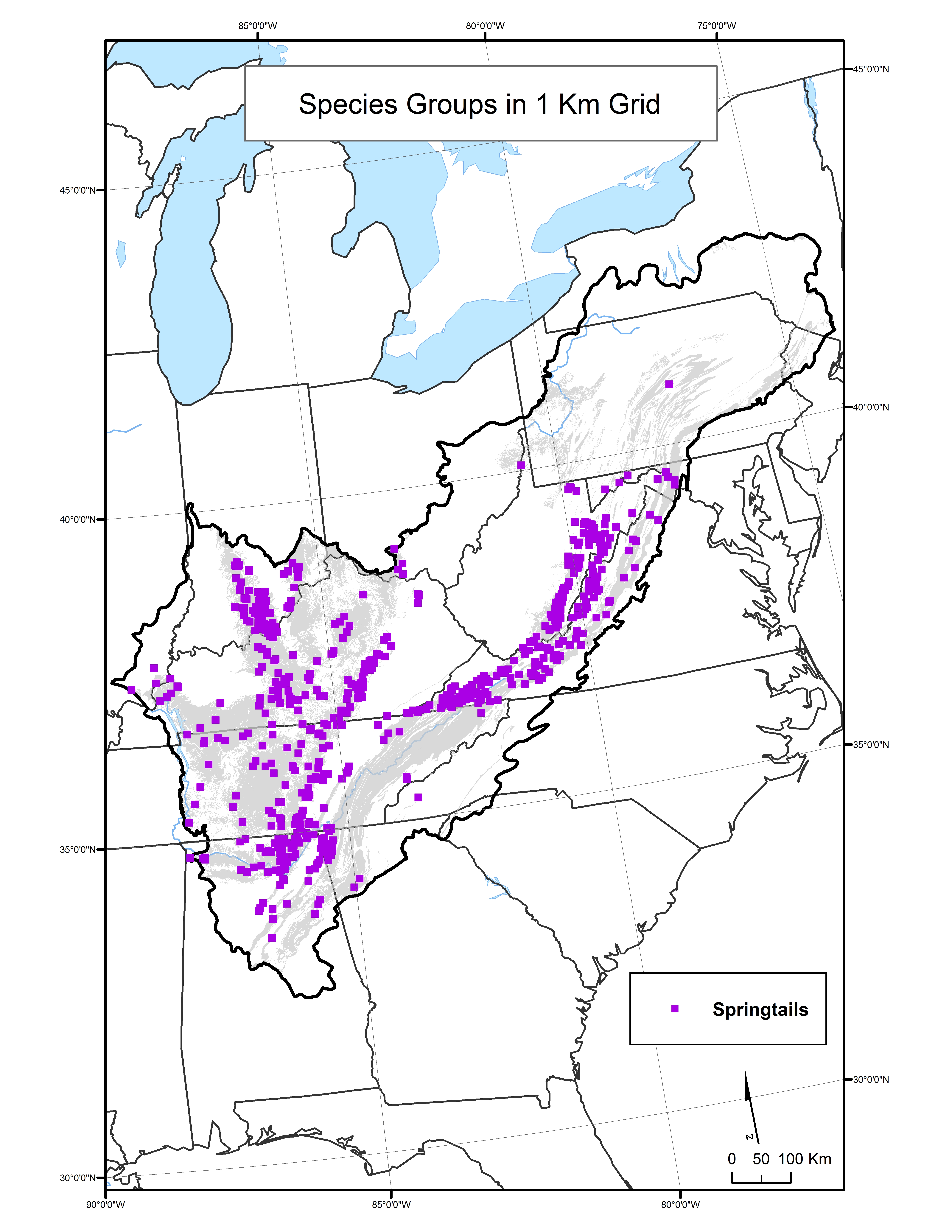 Springtail Species Distribution by 1 km Grid