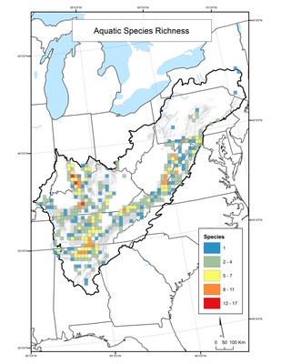 Aquatic Species Richness