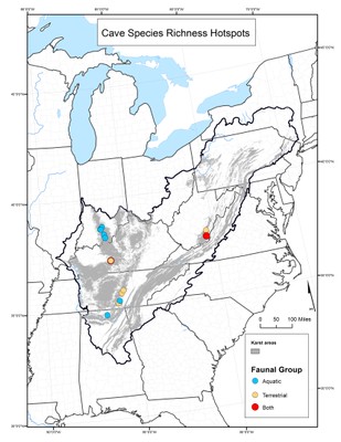 Cave Species Richness Hotspots