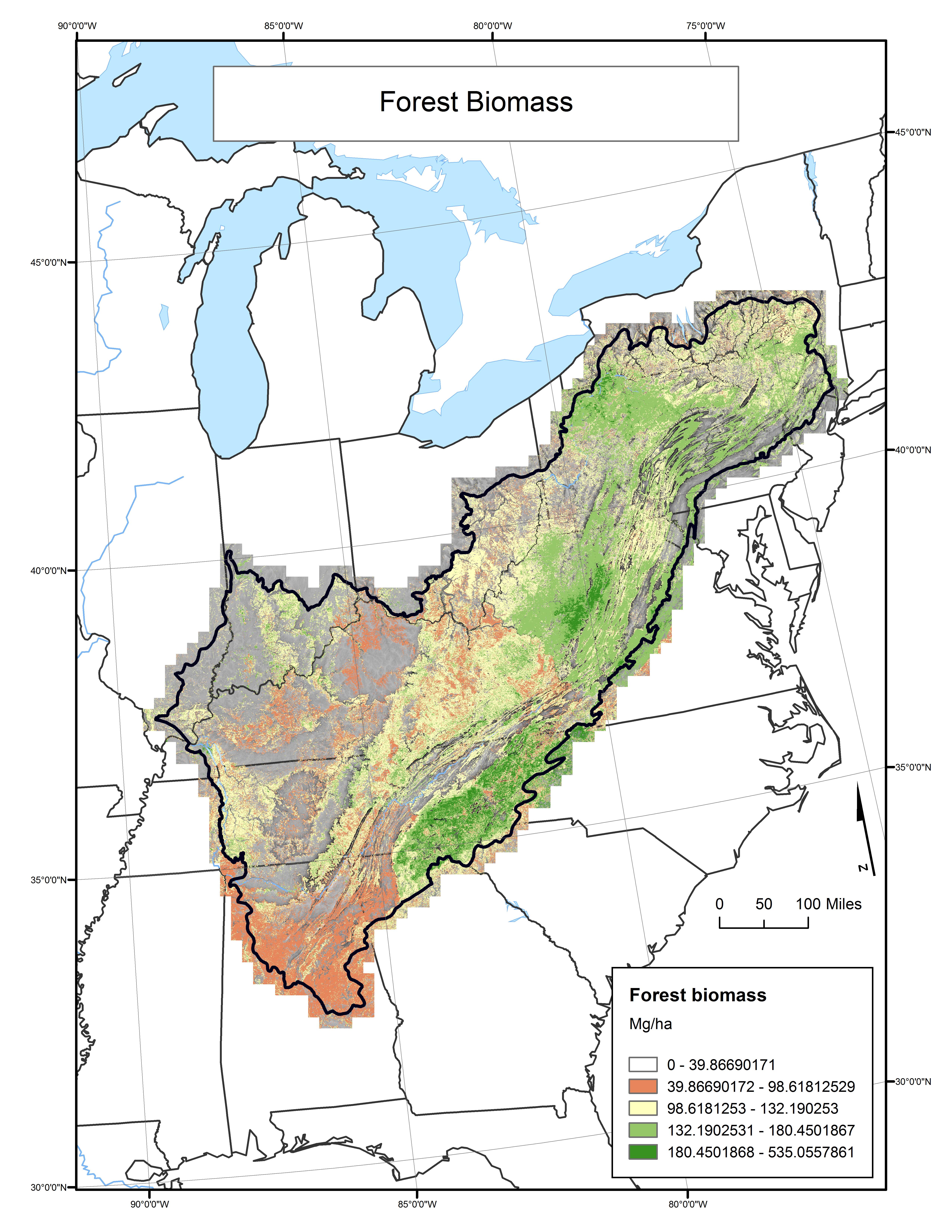 Forest Biomass